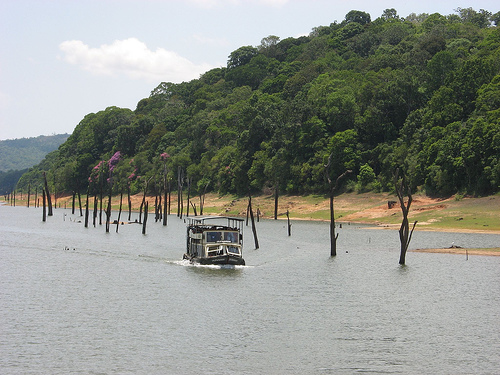 Periyar Lake